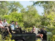 Corbett National Park Tiger Tracking and Birdwatching Tour